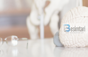 Studimi i fundit i mjeksise gjermane rreth agjerimit