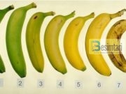 A e dini se cila nga këto banane është më e shëndetshmja?