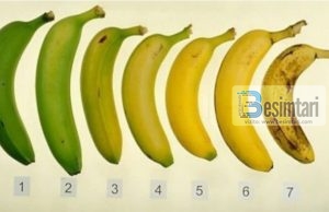 A e dini se cila nga këto banane është më e shëndetshmja?