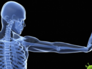 Agjërimi rigjeneron sistemin imunitar