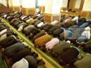 Xhemati, traditë profetike dhe dobitë mjekësore