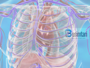 4 Dobite mjeksore te syfyrit.