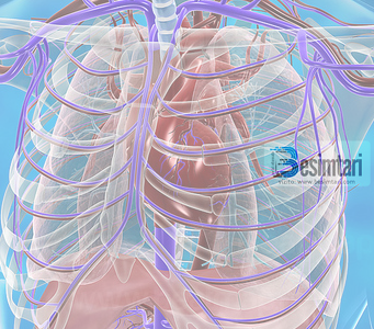 4 Dobite mjeksore te syfyrit.