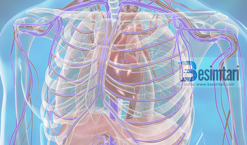 4 Dobite mjeksore te syfyrit.