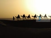 Qentë lehin, Karvani vazhdon rrugën!