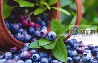 Çfarë përfitimesh sjell konsumimi i boronicës?