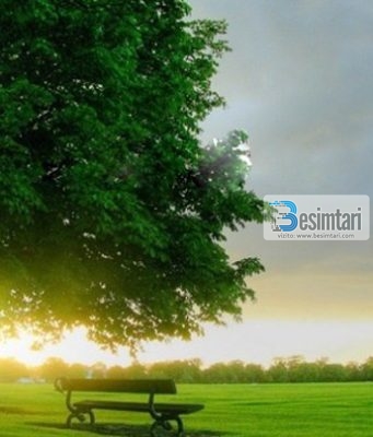 VAJZA ME TË CILËN KEMI RA NË DASHURI TË GJITHË!!