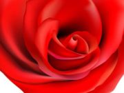 TË DUA… NUK ËSHTË VETËM FJALË