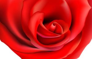 TË DUA… NUK ËSHTË VETËM FJALË