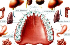 Misvaku, këshilla orale