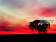 ÇFARË JANË DREDHITË E GRAVE!!