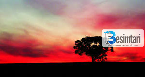 ÇFARË JANË DREDHITË E GRAVE!!