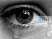 Nëse të ngushtohet kjo botë lidhu me këtë numër 222