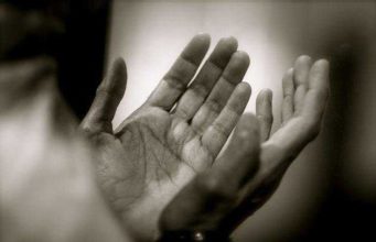 MUAJI I LUTJEVE TË PRANUARA