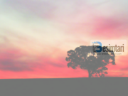 A lejohet përdorimi i fjalës “rastësisht”?