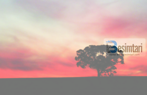 A lejohet përdorimi i fjalës “rastësisht”?