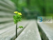 MËKATI I CILI TË FUT NË XHENET!!