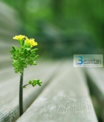 MËKATI I CILI TË FUT NË XHENET!!