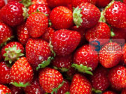 Dredhëzat parandalojnë zhvillimin e qelizave të kancerit