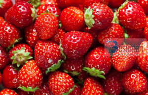 Dredhëzat parandalojnë zhvillimin e qelizave të kancerit