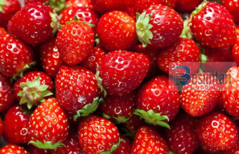 Dredhëzat parandalojnë zhvillimin e qelizave të kancerit