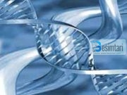 I Dërguari i Allahut dhe gjenetika