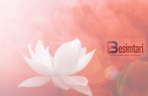 Cili është ilaçi per dashurine e zjarrte