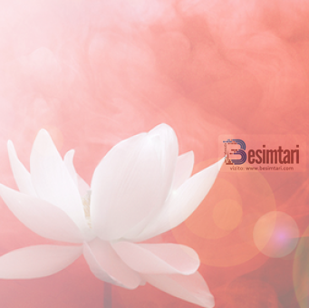 Cili është ilaçi per dashurine e zjarrte