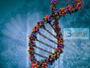 Gjenetika dhe çudia e Kur’anit