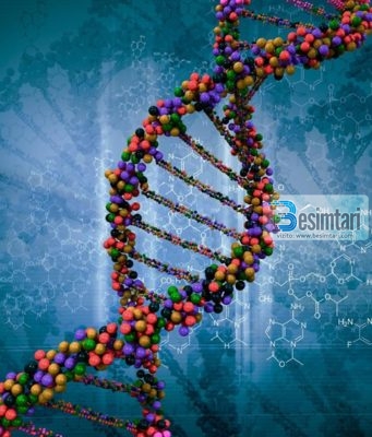 Gjenetika dhe çudia e Kur’anit