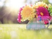 Nëna e mirë këshillon të bijën…