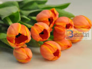 A nuk është çudi?!