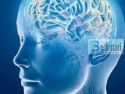 A e dini se shikimi i femrave dobëson kujtesën ( është përmendur edhe në KUR’AN )