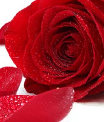 15 mënyra për ta fituar zemrën e burrit