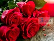 A lejohet të bashkëjetoj me vajzën që kam bërë kurorë me të, por nuk e kam marrë në shtëpi?