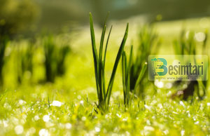 PËRPARA SE TË ZGJEDHËSH SHOKUN (SHOQEN) E JETËS