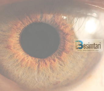 Cilët janë tre sy të ndaluar për zjarrin e Xhenemit ?