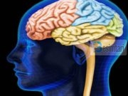 Zbulimi i kohëve të fundit që Profeti alehi selam na e ka mësuar para 14 shekujsh