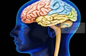 Zbulimi i kohëve të fundit që Profeti alehi selam na e ka mësuar para 14 shekujsh