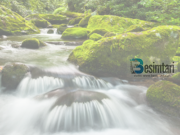 100 Shkallet që ka Xheneti