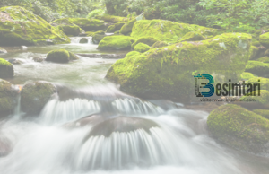 100 Shkallet që ka Xheneti