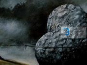 Cilës t’i jap përparësi: pastrimit të zemrës apo veprave vullnetare?