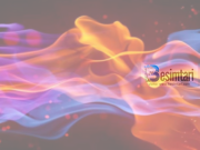 Çështë shirku dhe si ndahet ai?