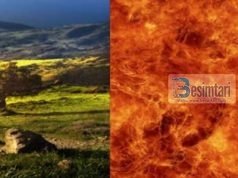 Cilat janë 2 vepra që e fusin njeriun në Xhenet dhe 2 vepra që e fusin njeriun në Xhehenem