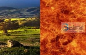 Cilat janë 2 vepra që e fusin njeriun në Xhenet dhe 2 vepra që e fusin njeriun në Xhehenem