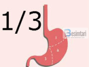 SUNETI PËR NJË DIETË TË SHËNDETSHME