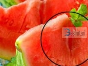 KËTË ASKUSH NUK JUA KA THËNË: Menjëherë hidheni poshtë nëse shihni të çara të këtilla në SHALQI!