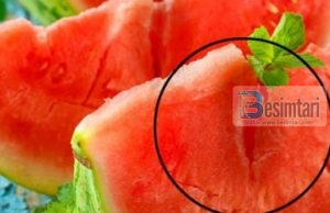 KËTË ASKUSH NUK JUA KA THËNË: Menjëherë hidheni poshtë nëse shihni të çara të këtilla në SHALQI!