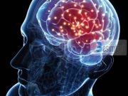 Si përshkruhet TRURI në KURAN