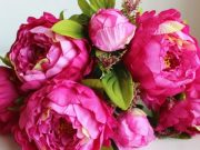 Si ta kuptoj që gruaja më do mua ?